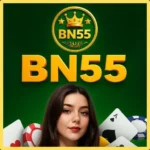 BN55-Game